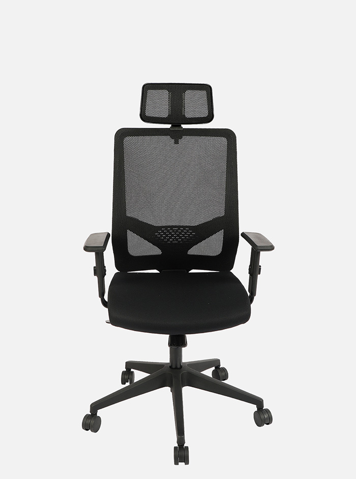 ergonomic office chairs Delhi NCR